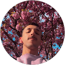Felipe Tavares profile picture